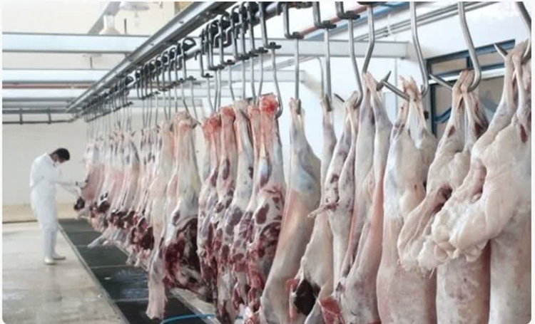 نظارت بهداشتی بر ذبح دام در ایام تاسوعا و عاشورا 